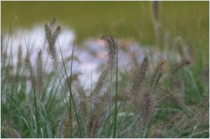 Stacks Image 891