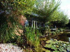 Stacks Image 820